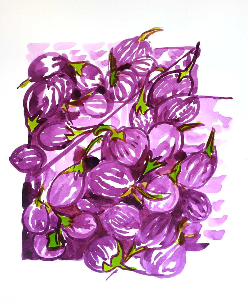 Aubergine indiennes.Format 30x50cm. Encres. (copyright ADAGP)