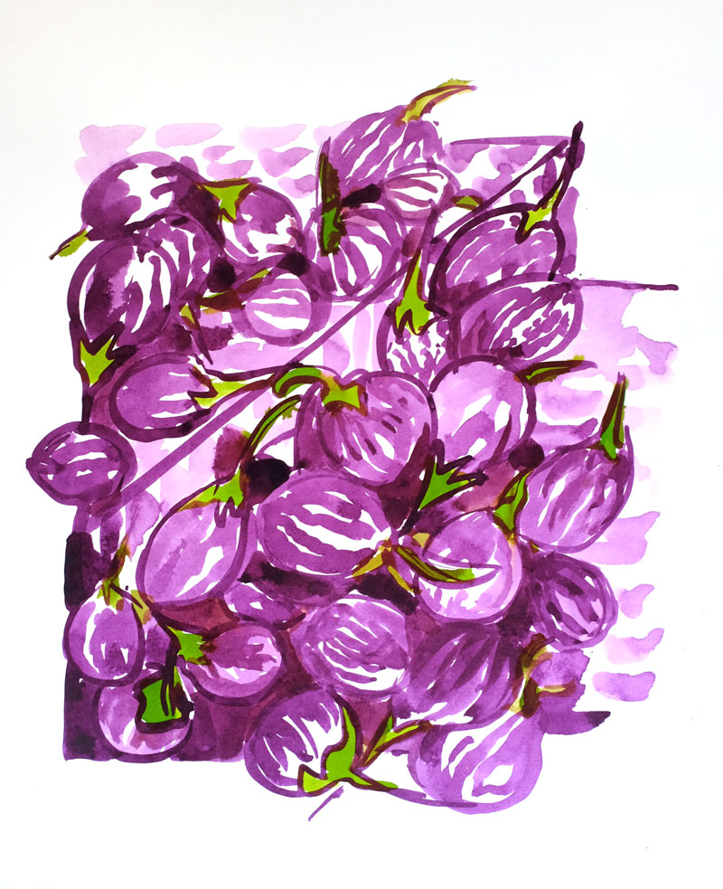  Aubergine indiennes.Format 30x50cm. Encres. (copyright ADAGP) 