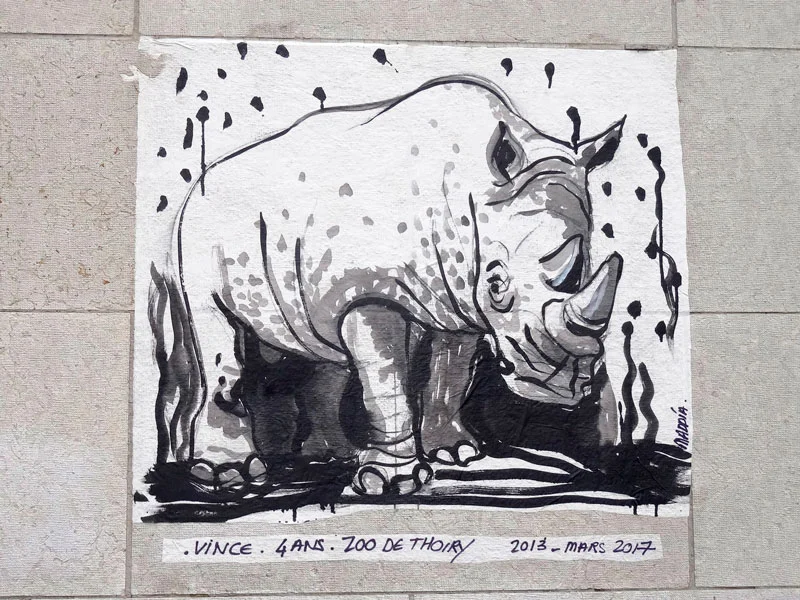 Le rhinocéros blanc de Thoiry