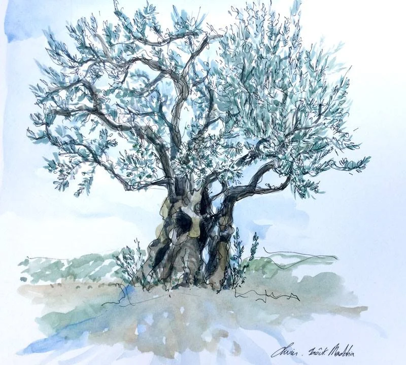 L'Olivier