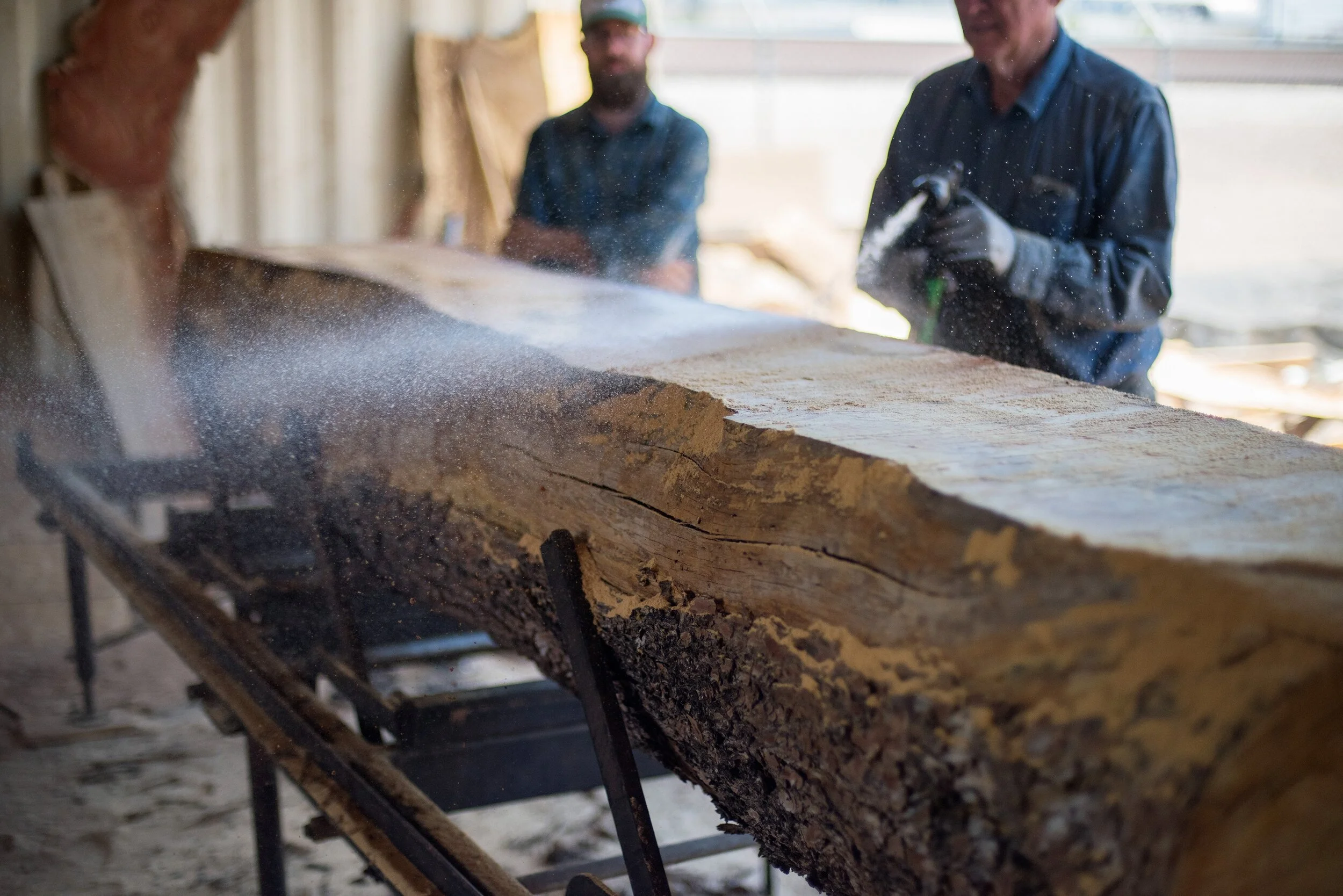 felled-lumber-photo.jpeg