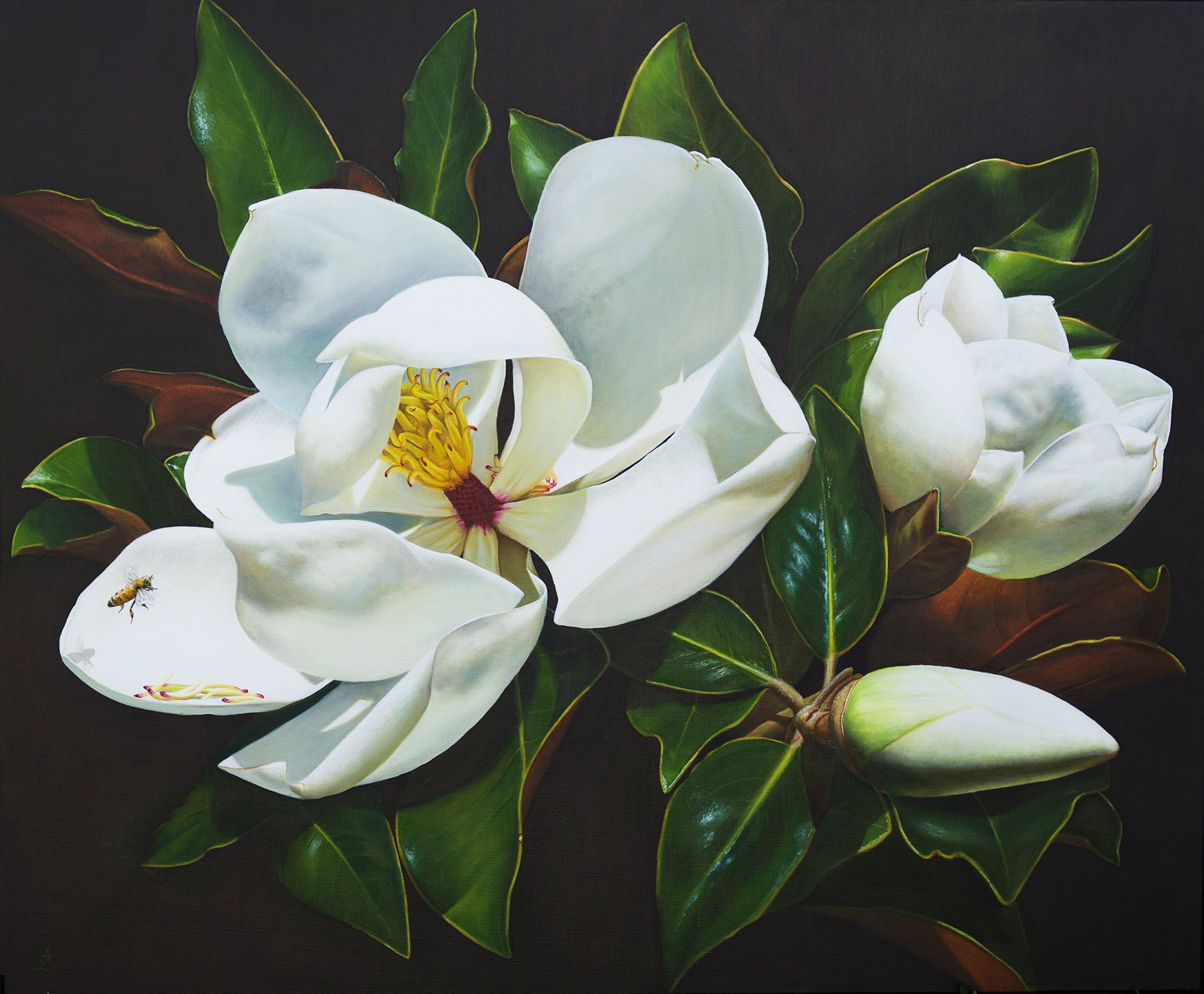 Magnolia Blooming_OIl on Linen_2020_83 x 103cm.jpg