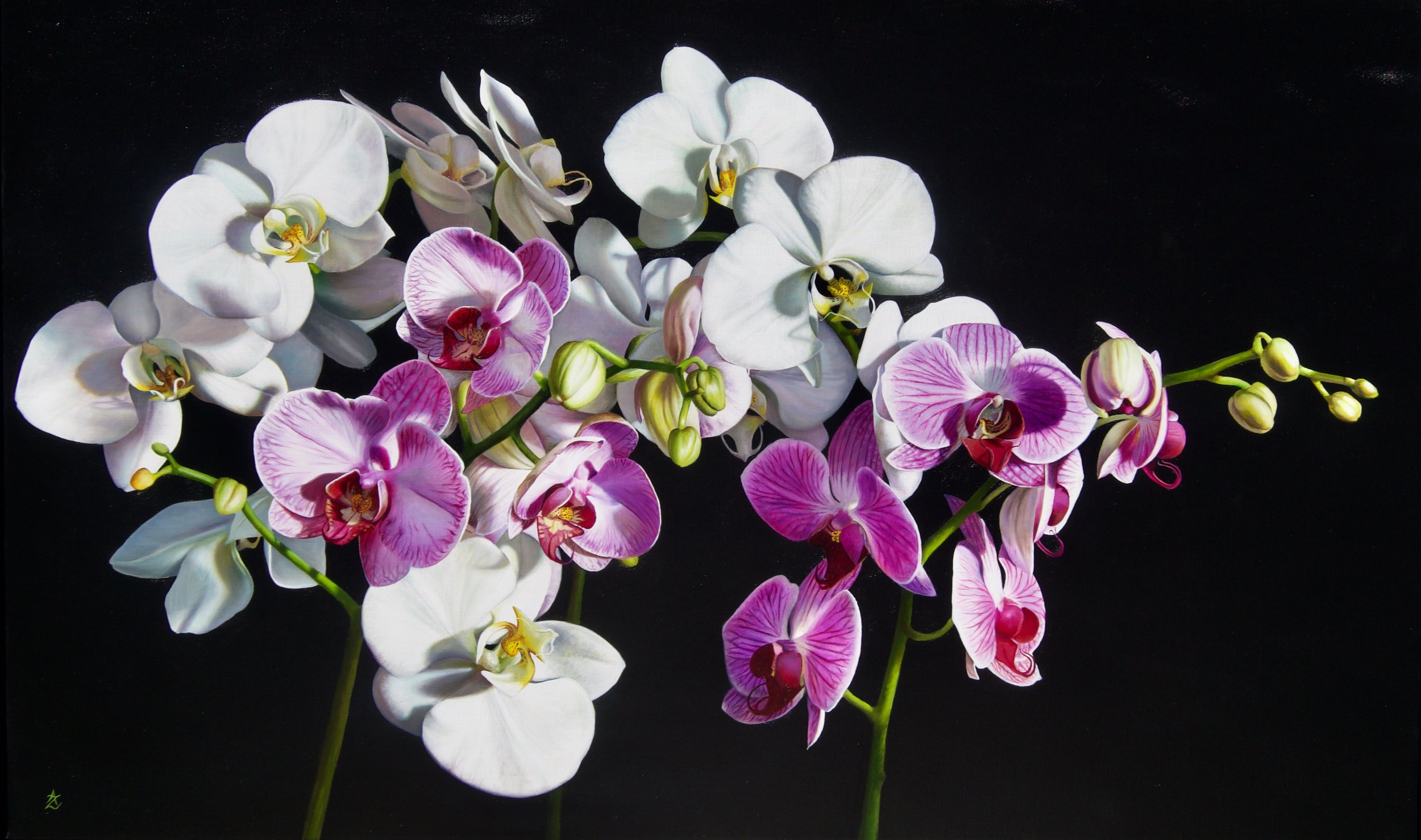 Orchid Landscape.jpeg