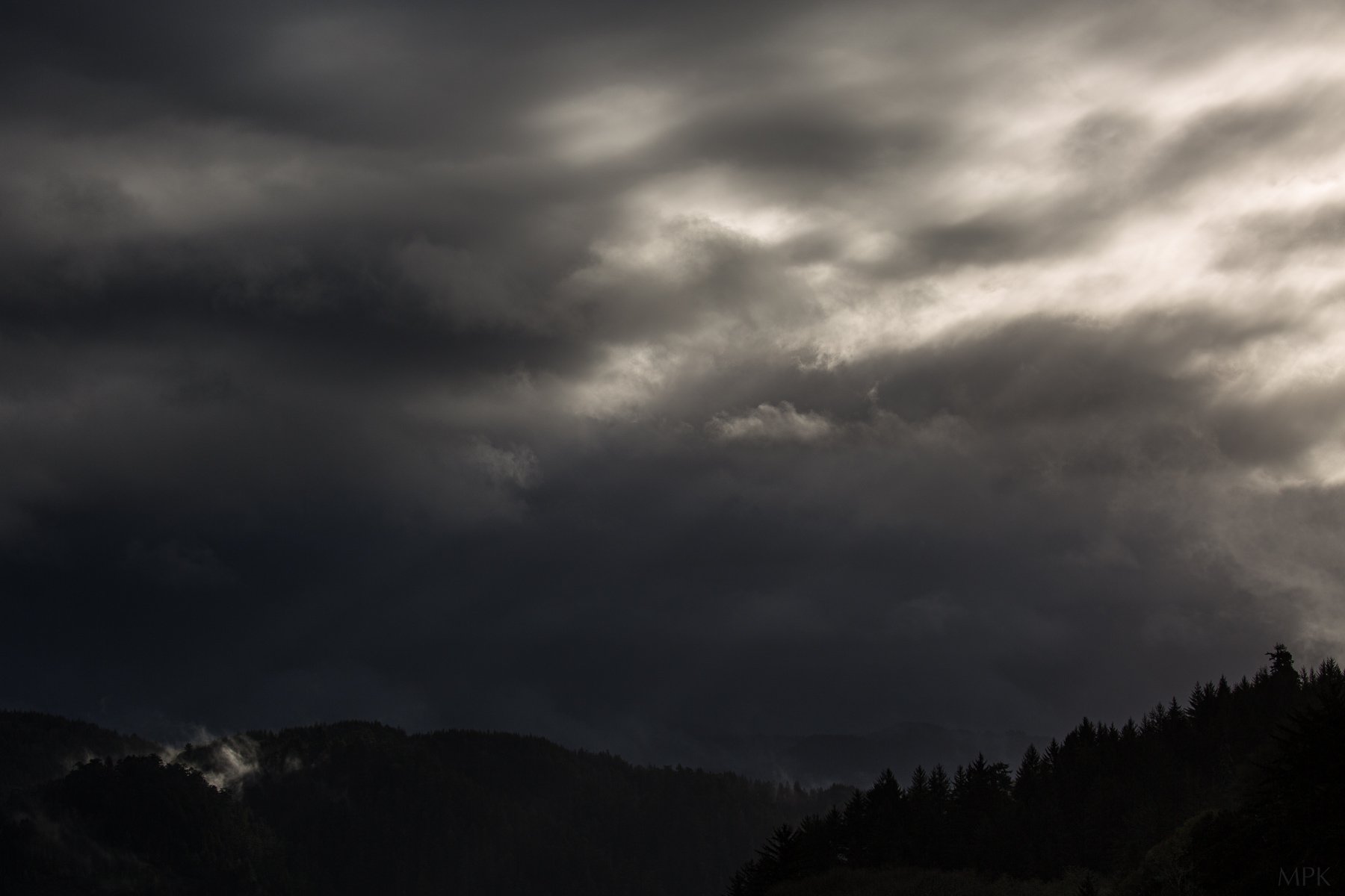 Forest-Dark-Cloudy-Light-Shadow-Matthew-Polvorosa-Kline.jpg