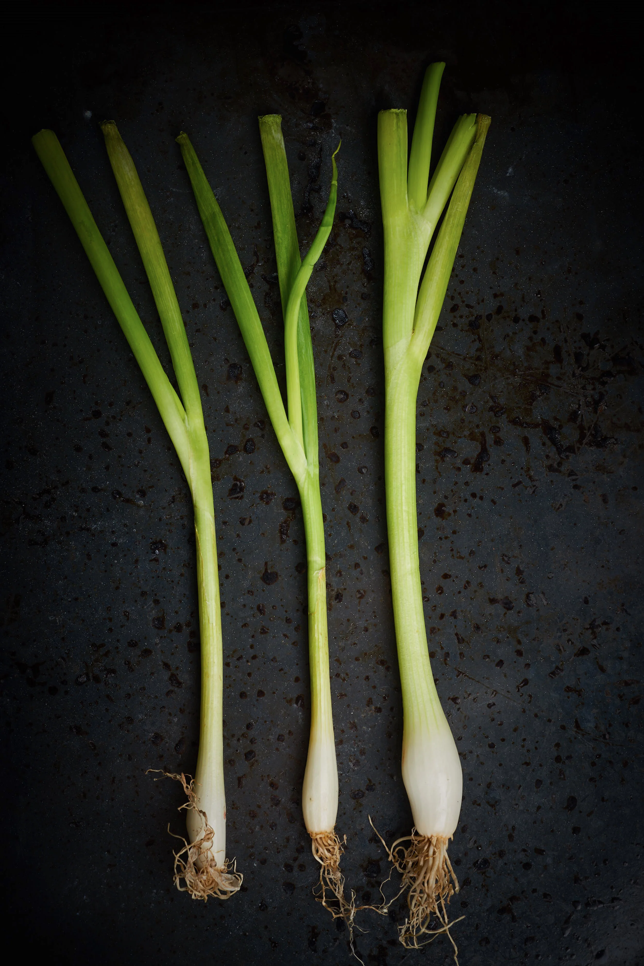 Spring Onions