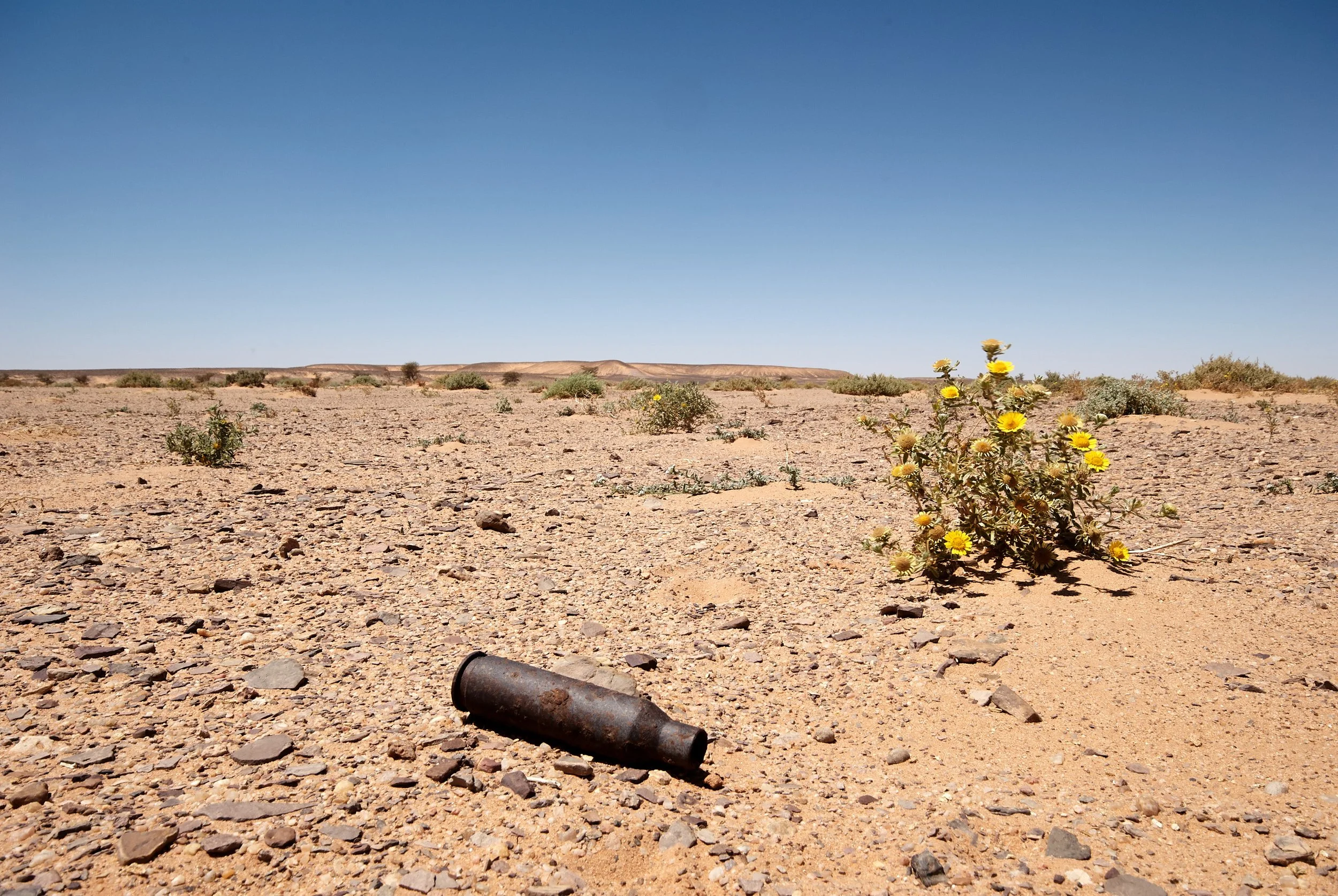 western-sahara-desert (Copy)