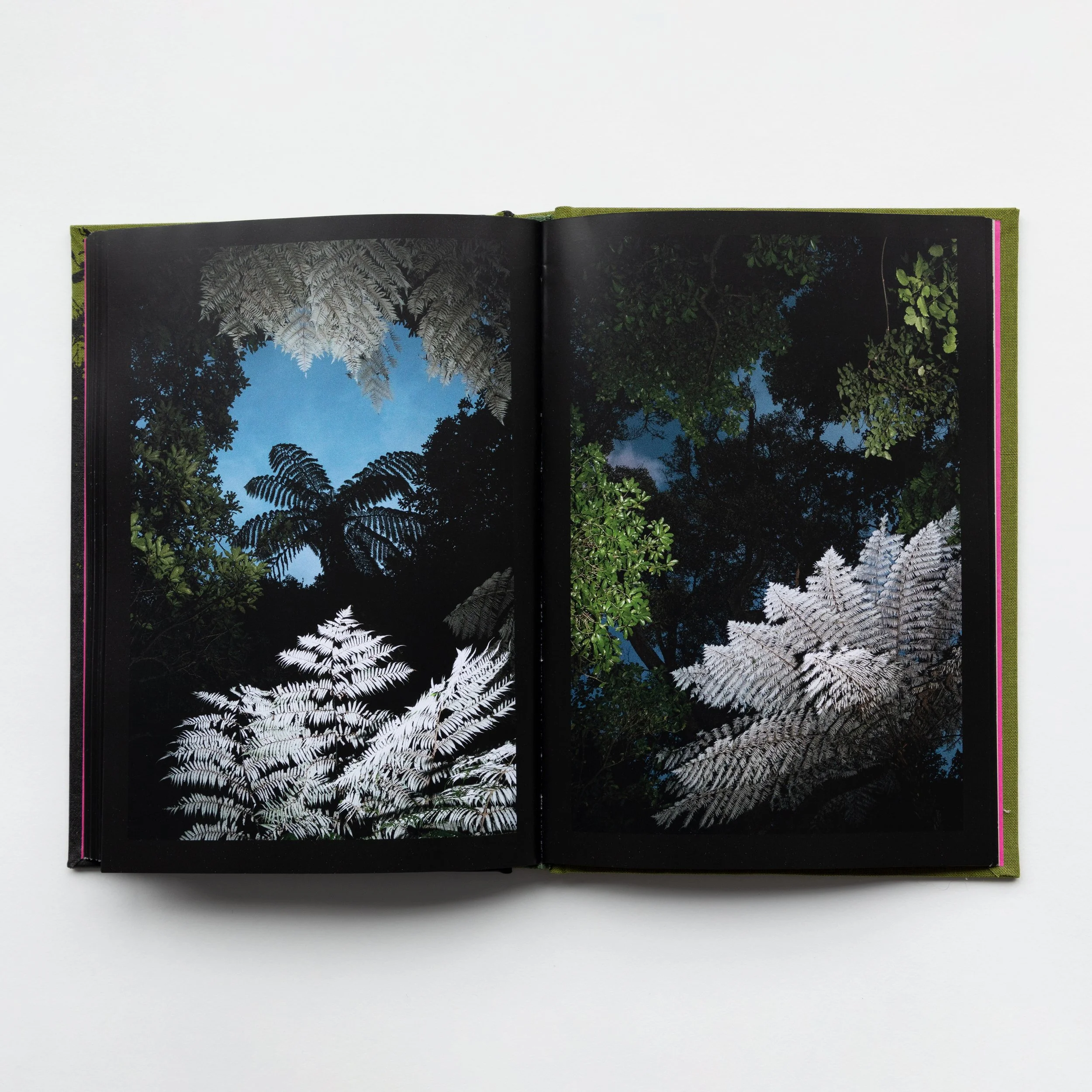 pages-stack6.jpg