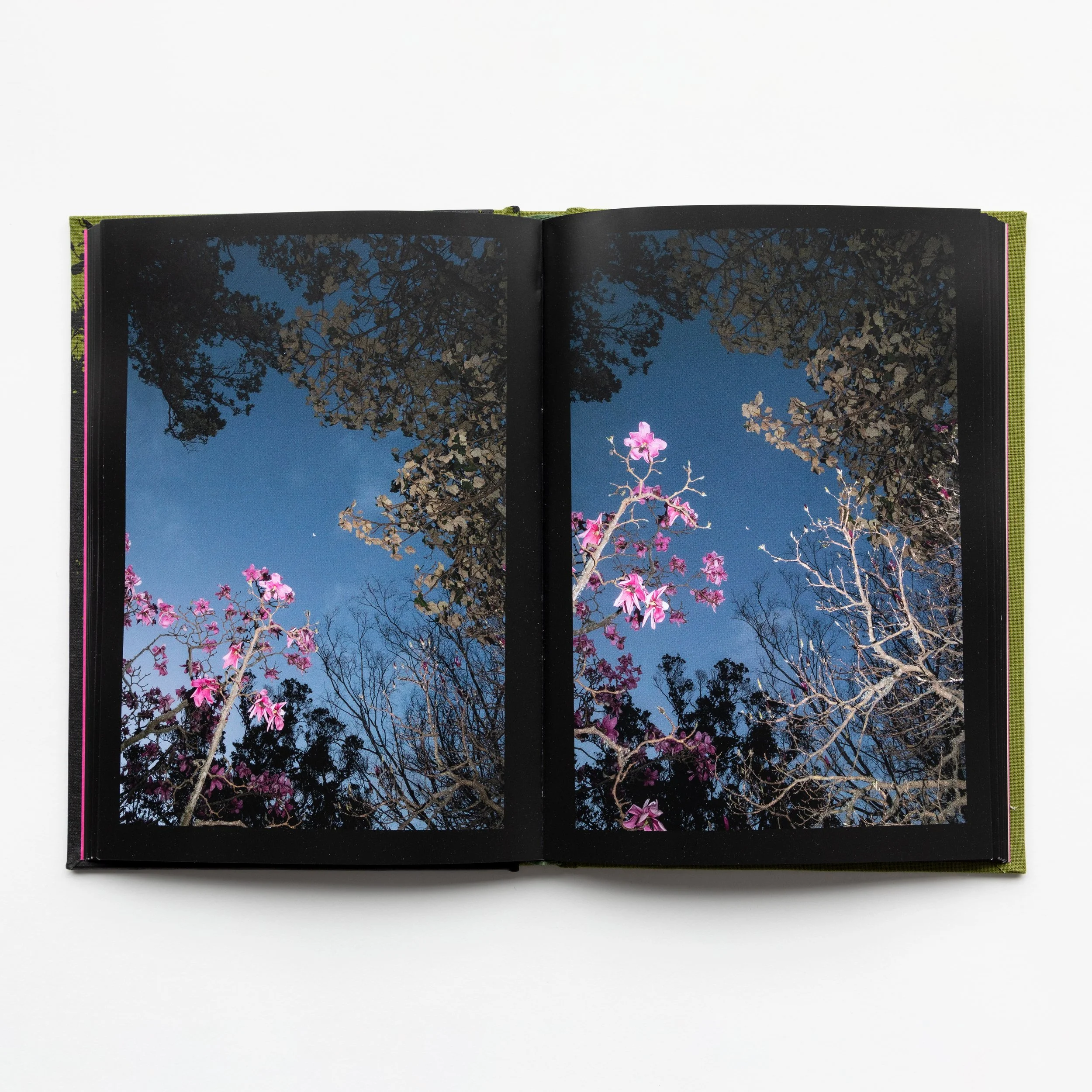pages-stack4.jpg
