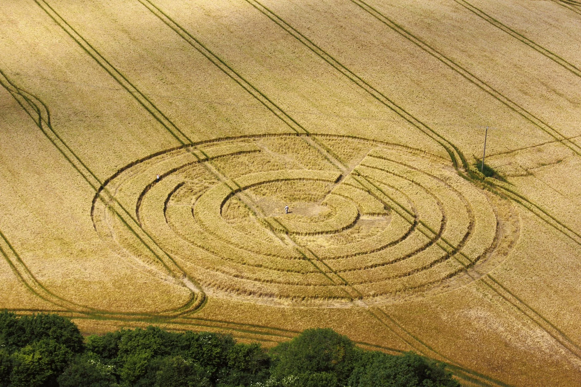 Emil McAvoy-Soft Launch-Lead Image 001-web-FINAL.jpg