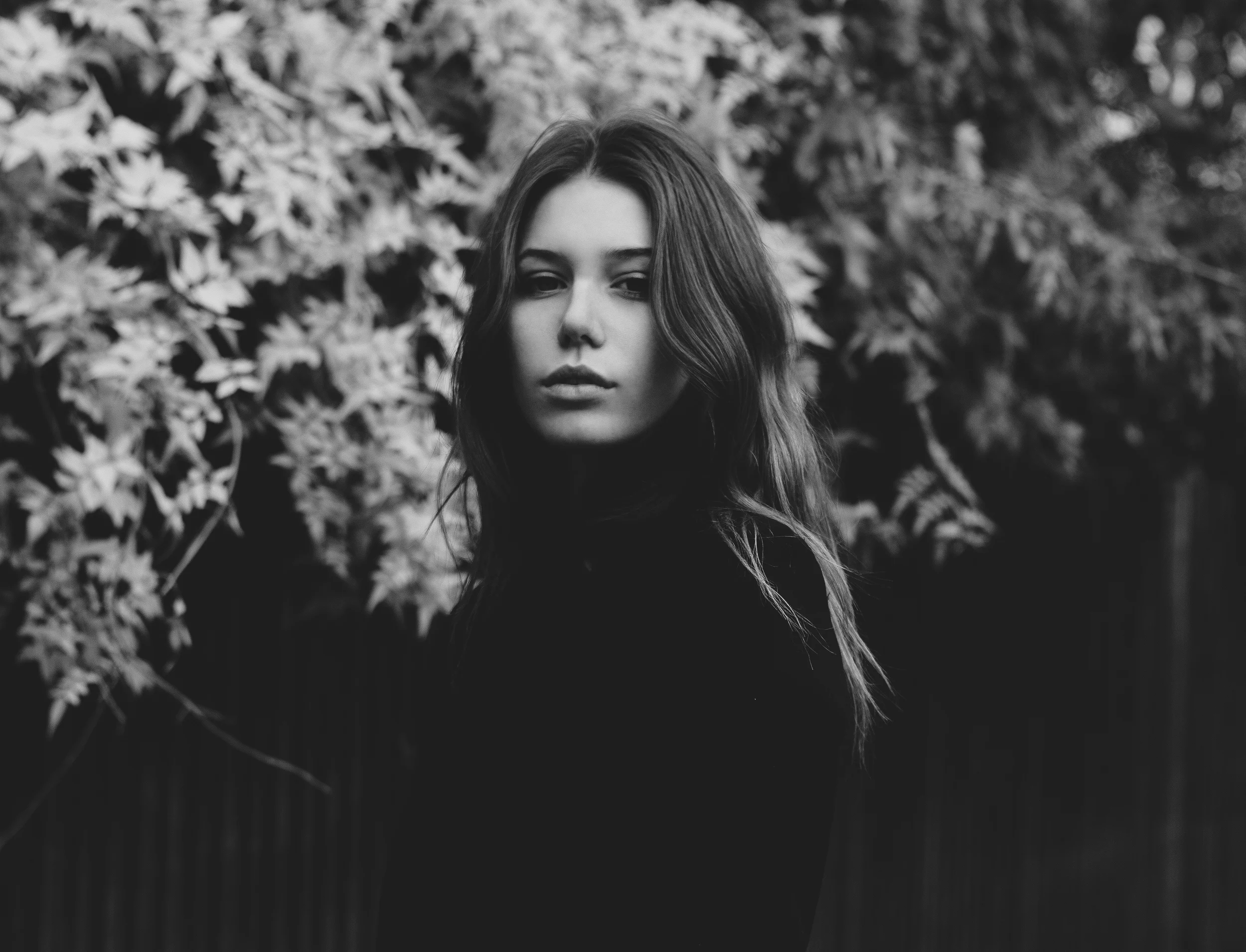 12(cropped).jpg