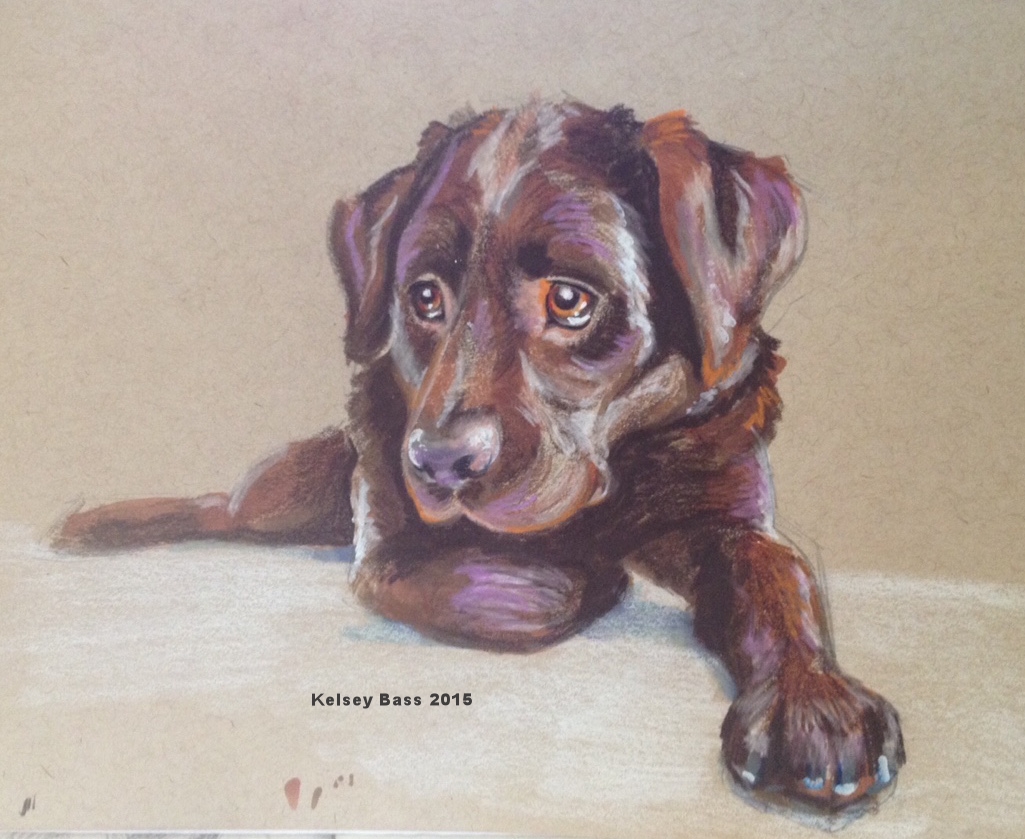 Chocolate Lab . Prisma Color pencil, Sharpie white paint, Prisma color marker on toned tan paper