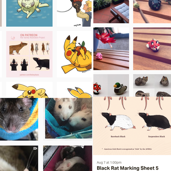 Screen Shot 2019-08-09 at 18.48.04.png
