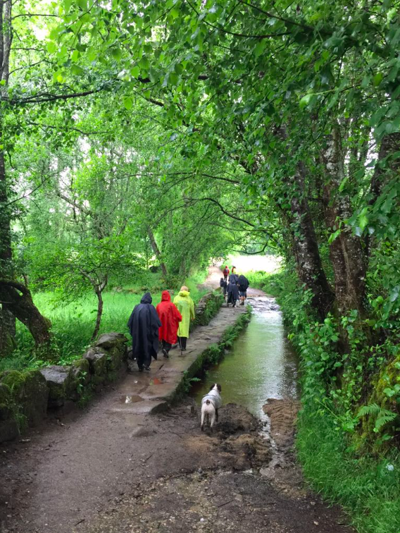 Even rainy days are mystical and breathtaking