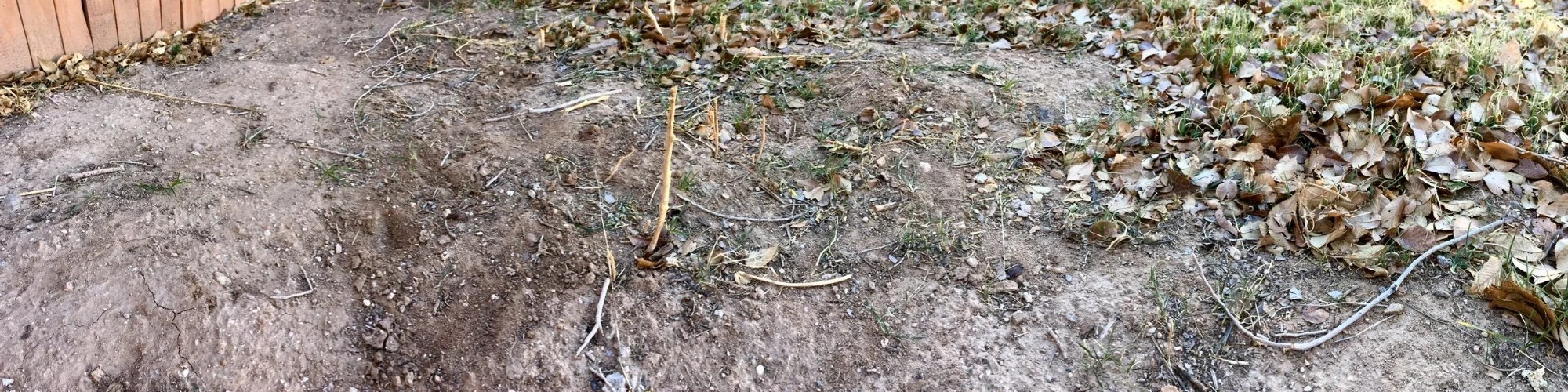 Dirt.jpeg