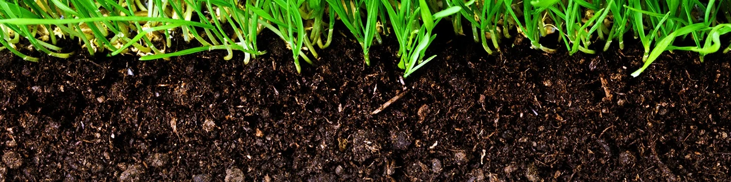 Soil.jpg
