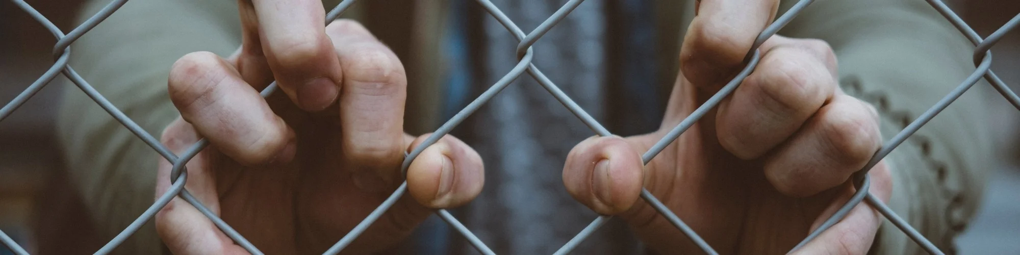 Fences.jpg