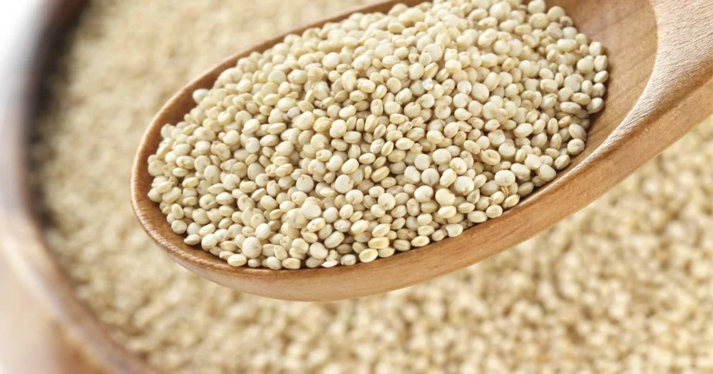Amaranth Seeds.jpg