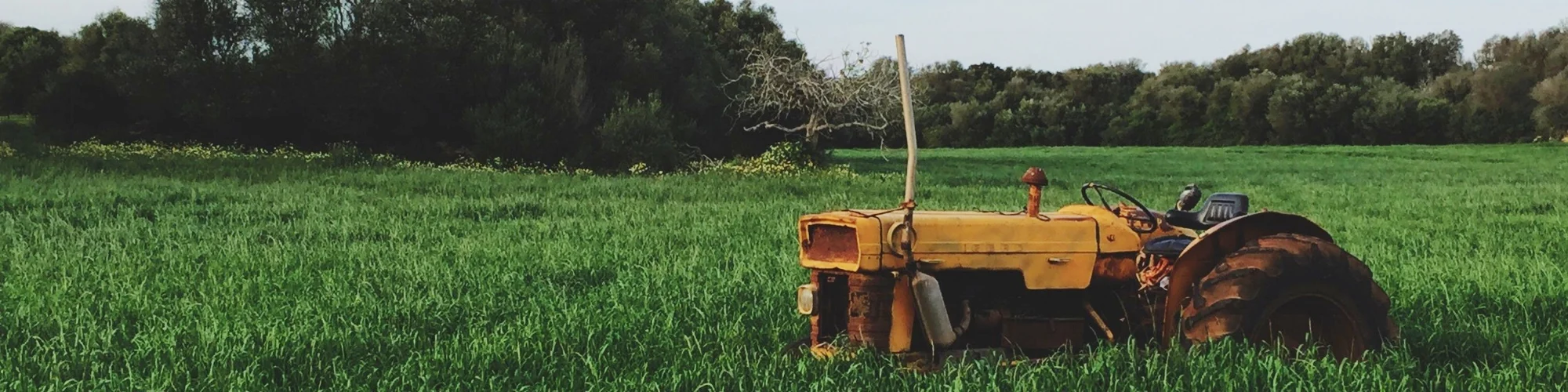 Tractor.jpg