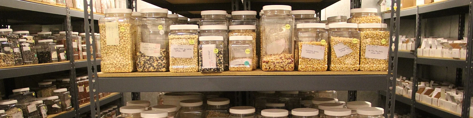 Seed Bank.jpg