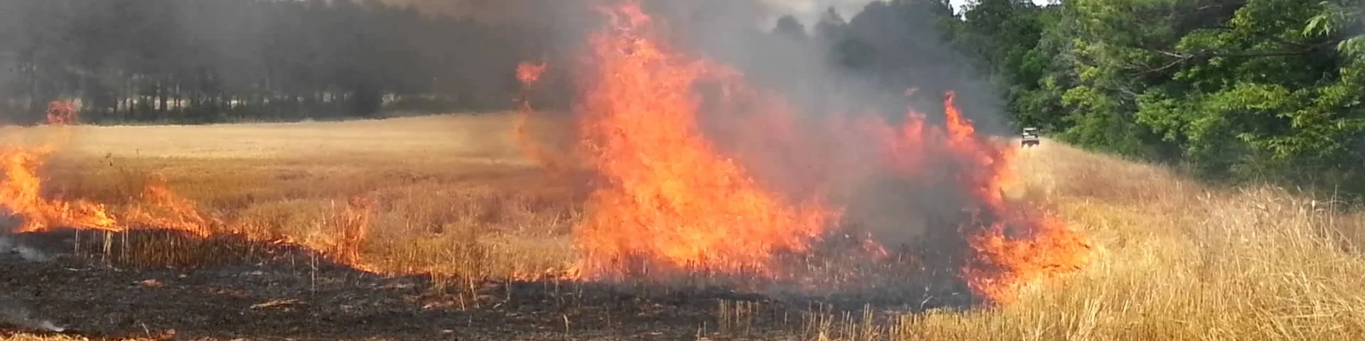 Scorched Earth.jpg