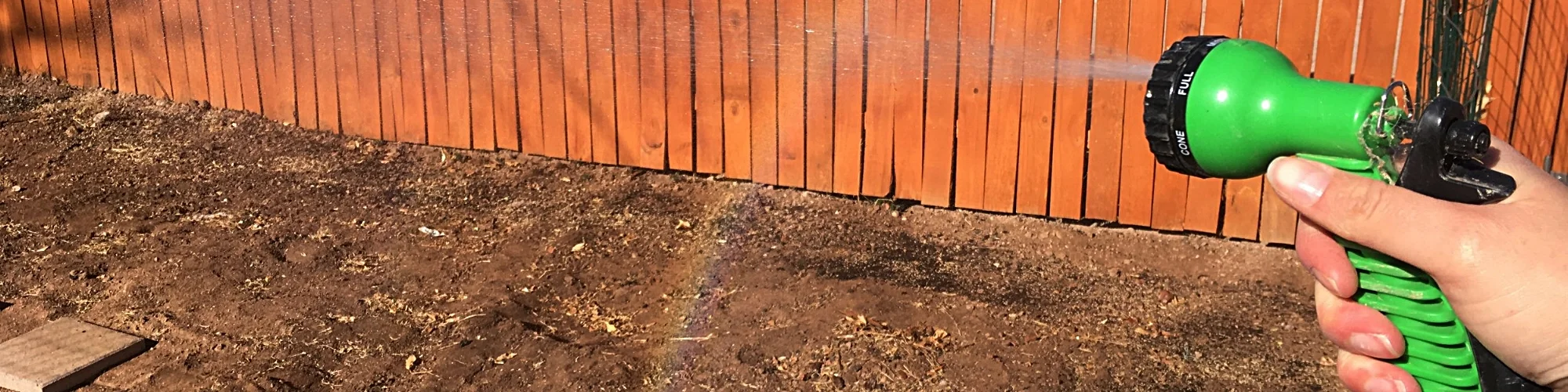 Watering.jpeg