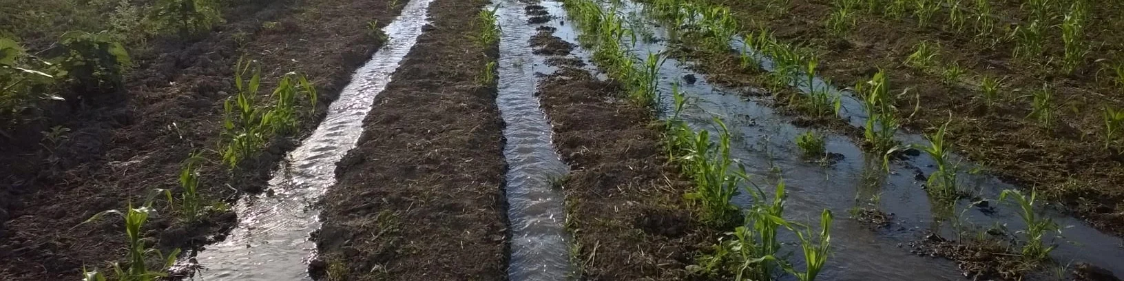 Acequia irrigation.jpg