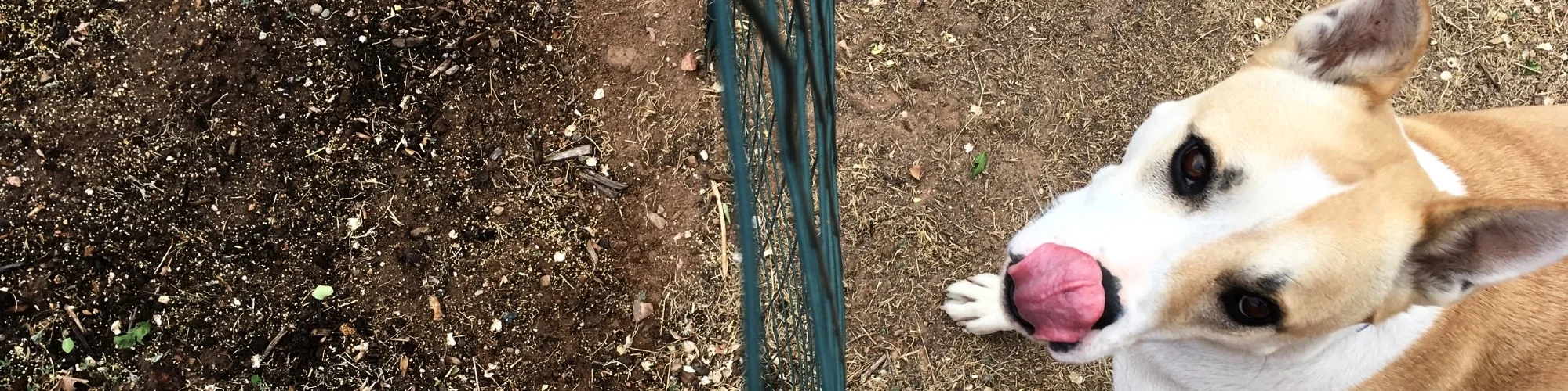 Ground.jpeg