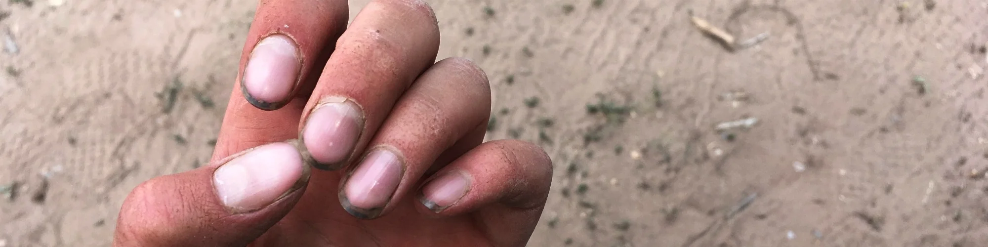 Nails.jpeg