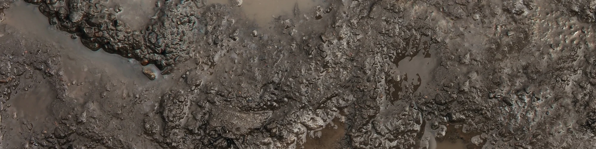 Mud.jpg