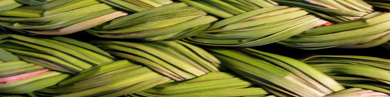 Sweetgrass.jpg