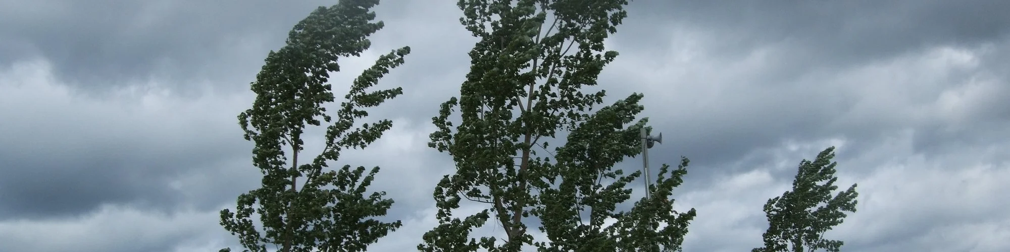 Windy.jpg