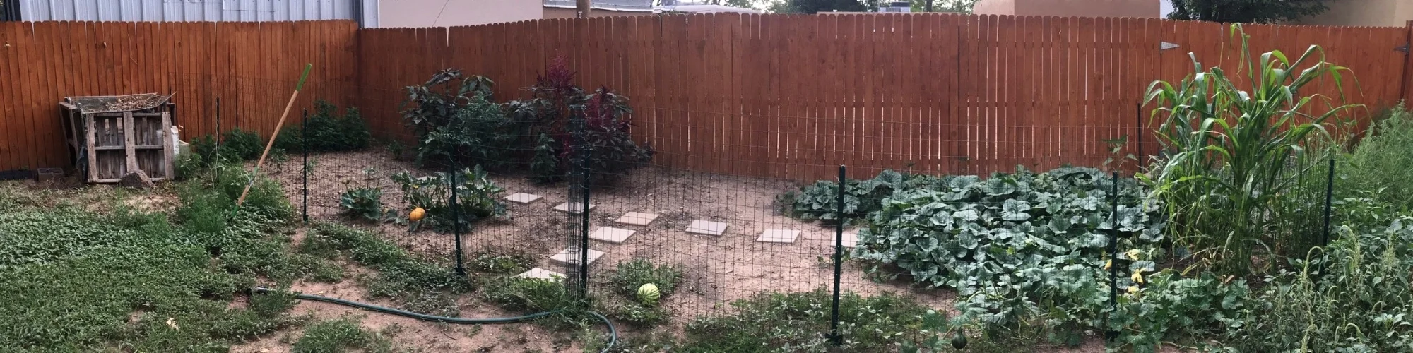 Garden growth (1).jpeg