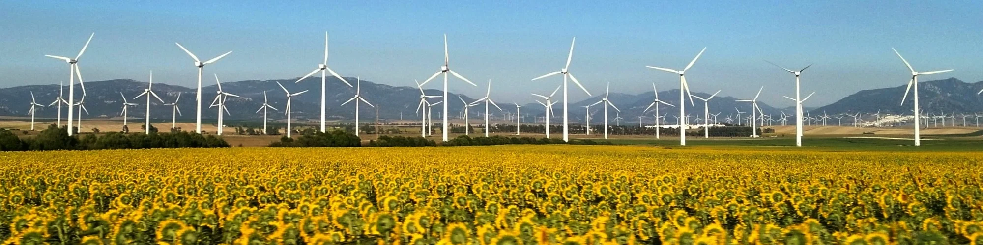 Wind farm.jpg