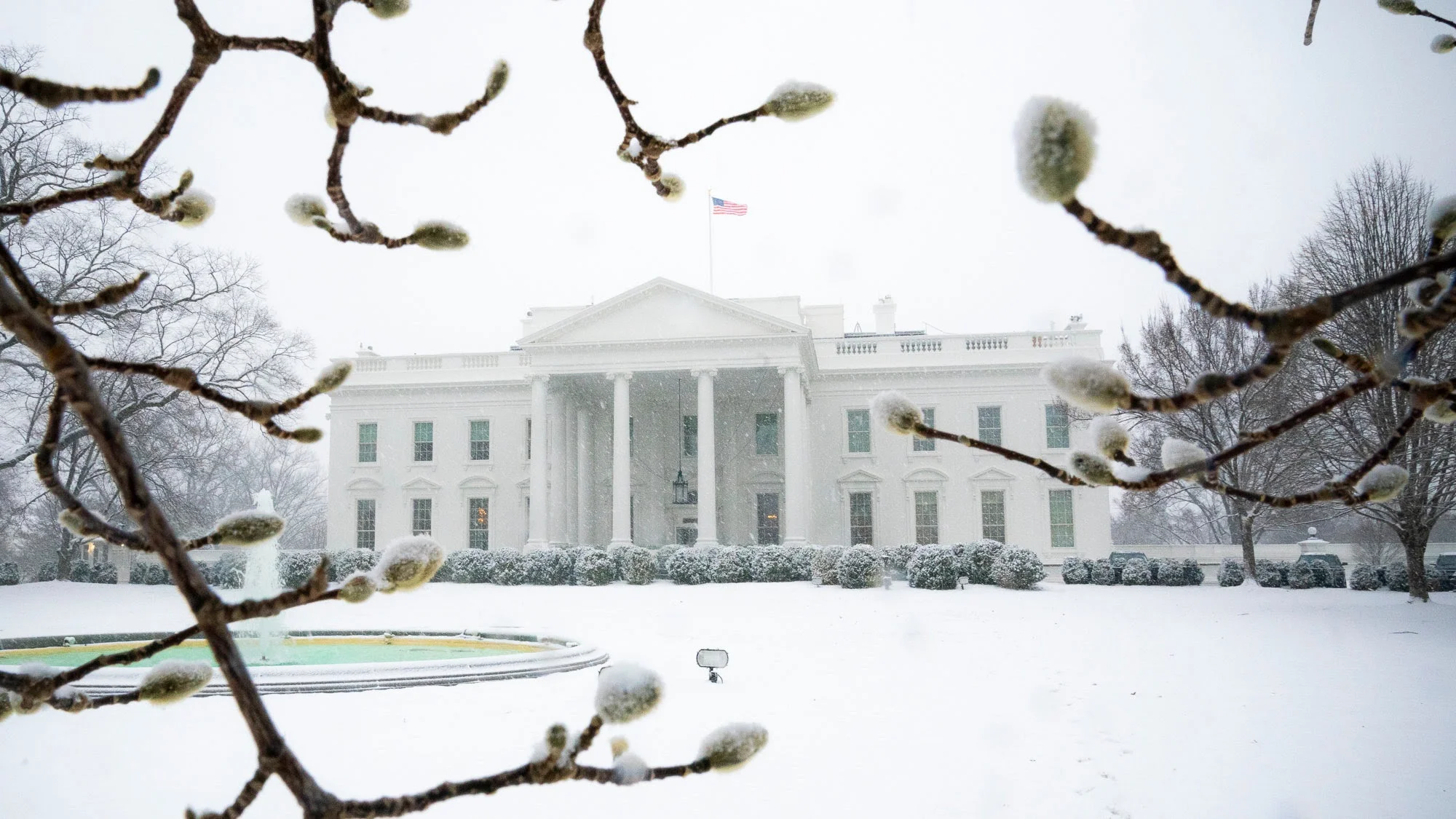 2019-02-20 - White House photo.jpg