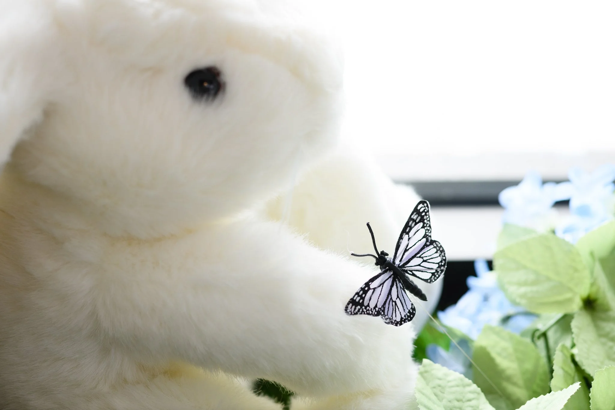 Karie Luidens 2025-12-08-095_(2048).jpg