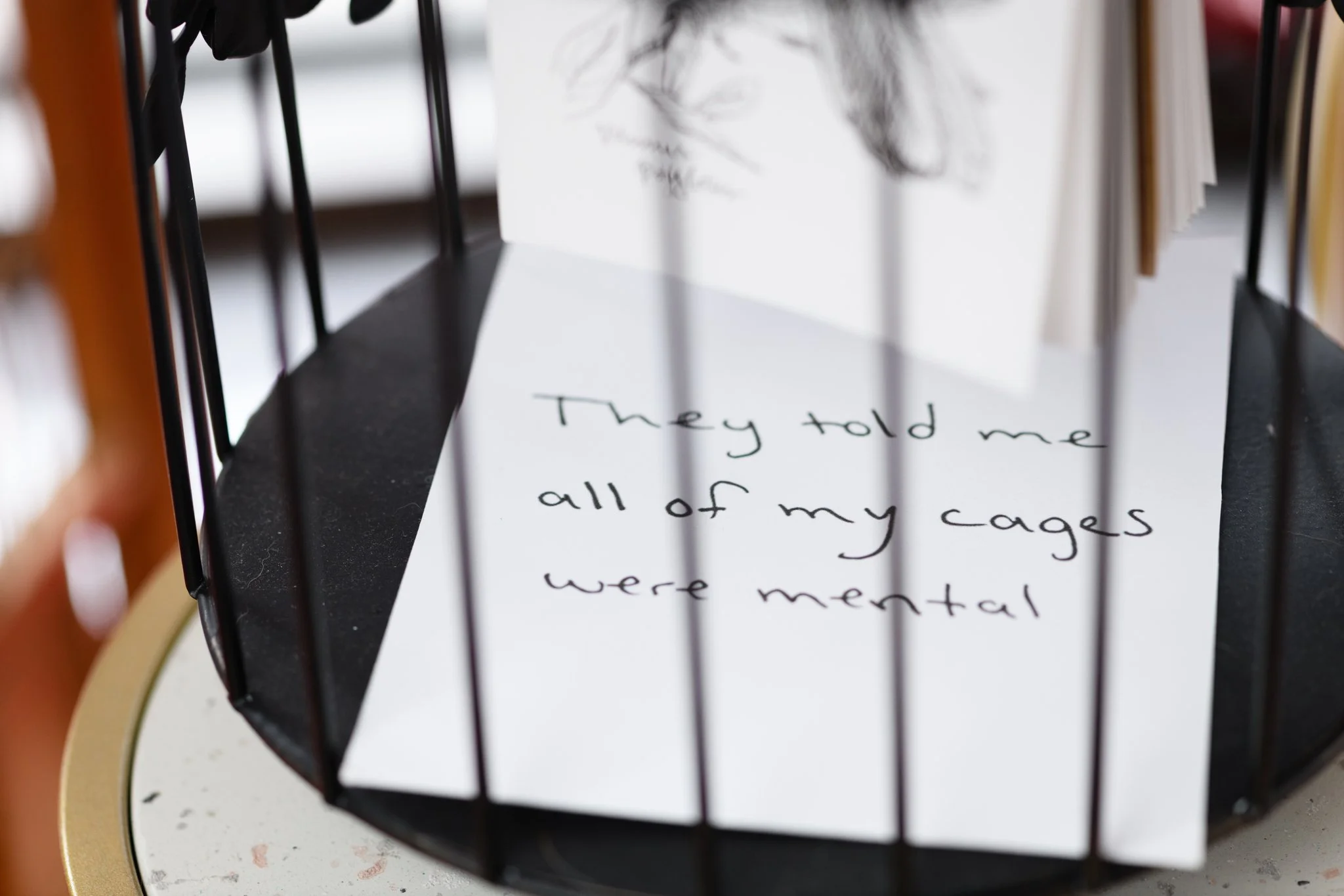 My Cages Were Mental (Raise You to Cage  You)