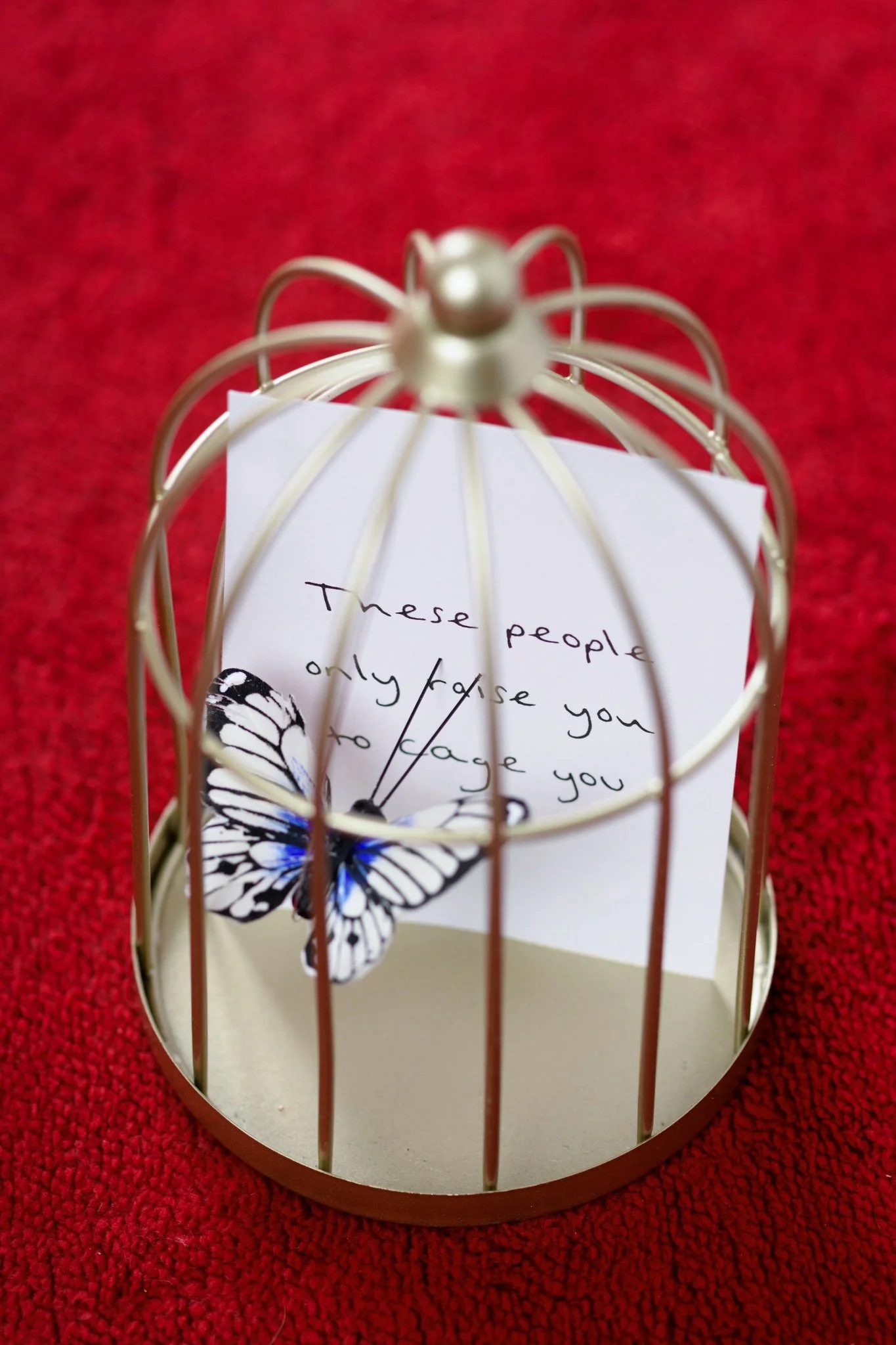 Raise You to Cage You