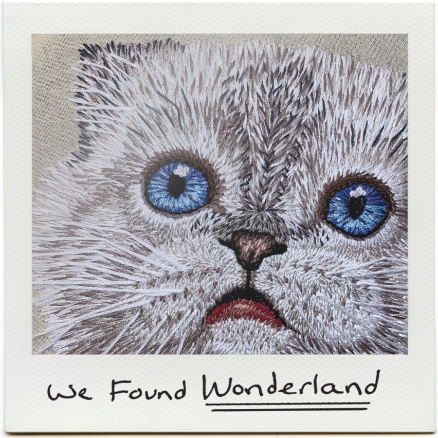 7. Olivia Benson (2).png