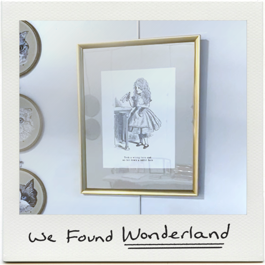 5. Down the Rabbit Hole (1).png