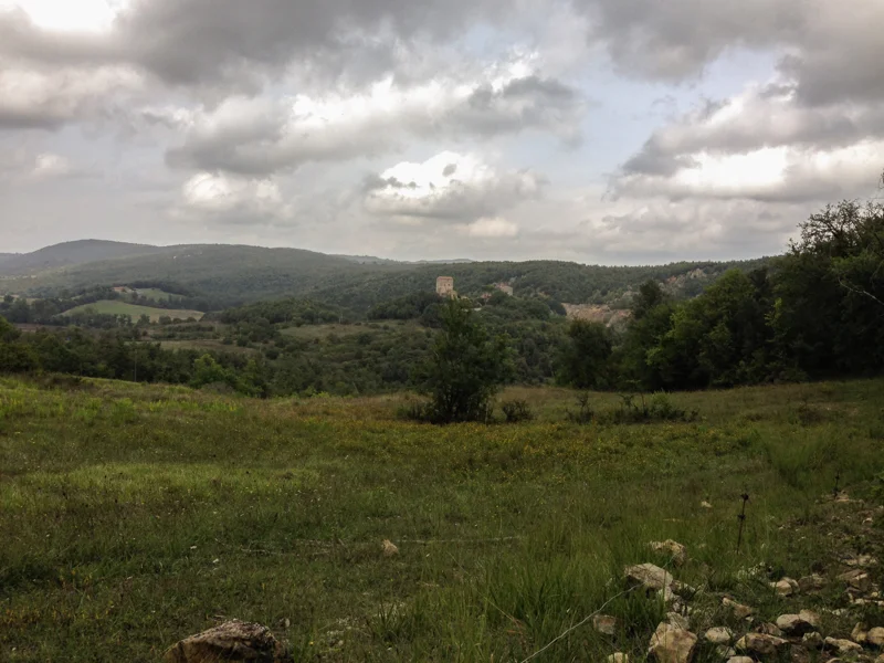 The view from one of the fences that I walk