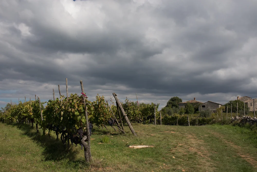 darker skies
