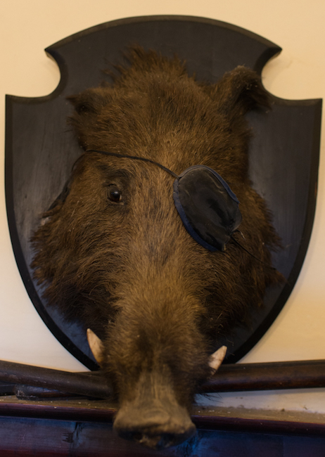 This unlucky fellow lives (or doesn't, ha!) in the living room (ha!)—he lost an eye during a move, and then a mischievous guest gave him the eye patch. He's now on the label of Spannocchia's Grappa.