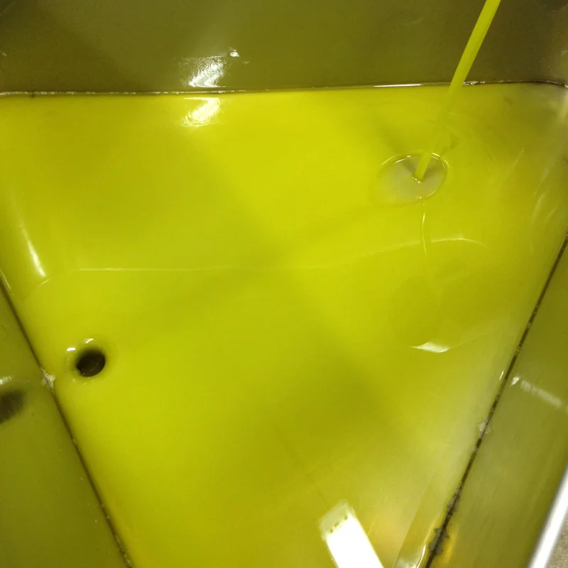 olive oil.jpg