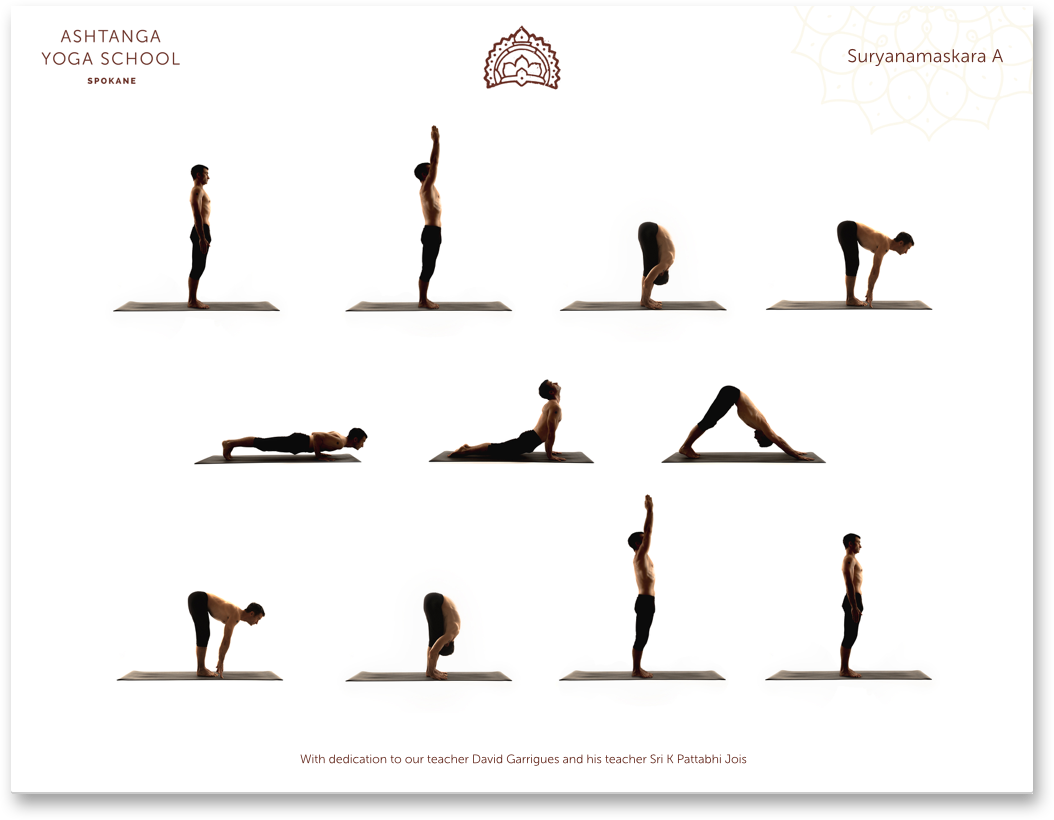 Yoga Chart For Beginners Pdf