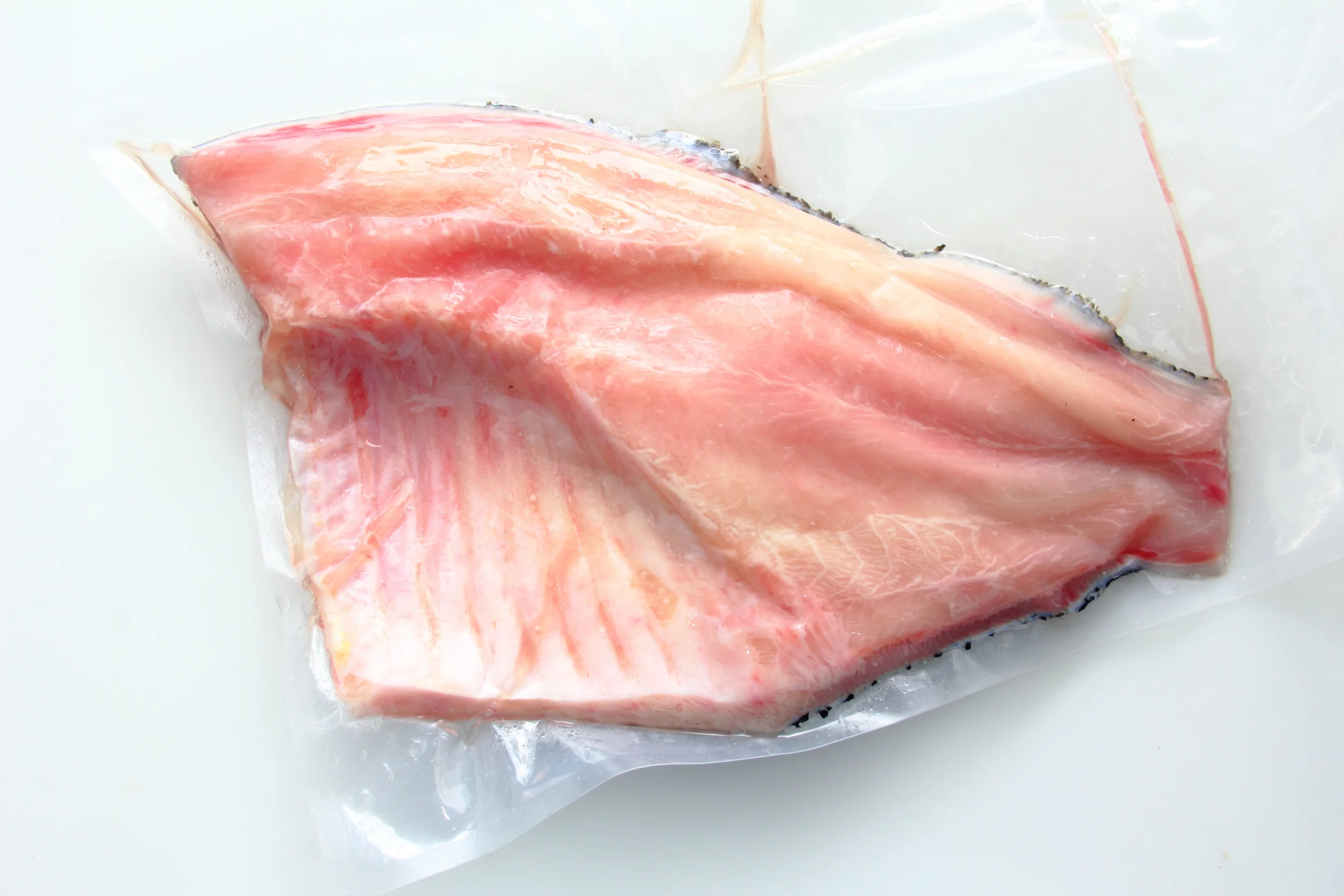 Tambaqui Split IVP.JPG