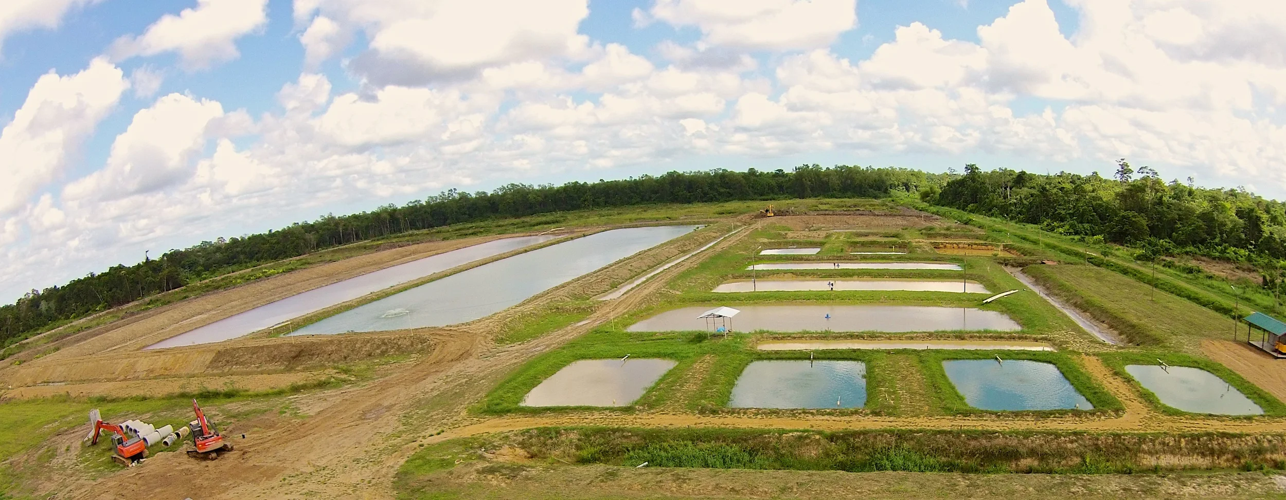 Amazon Aquaculture 4.514 7.jpg