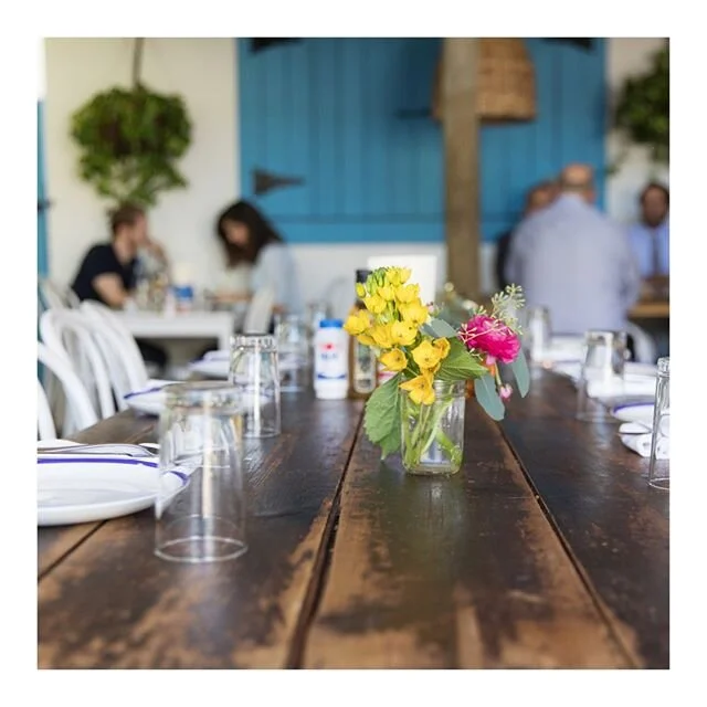 mandolin aegean bistro