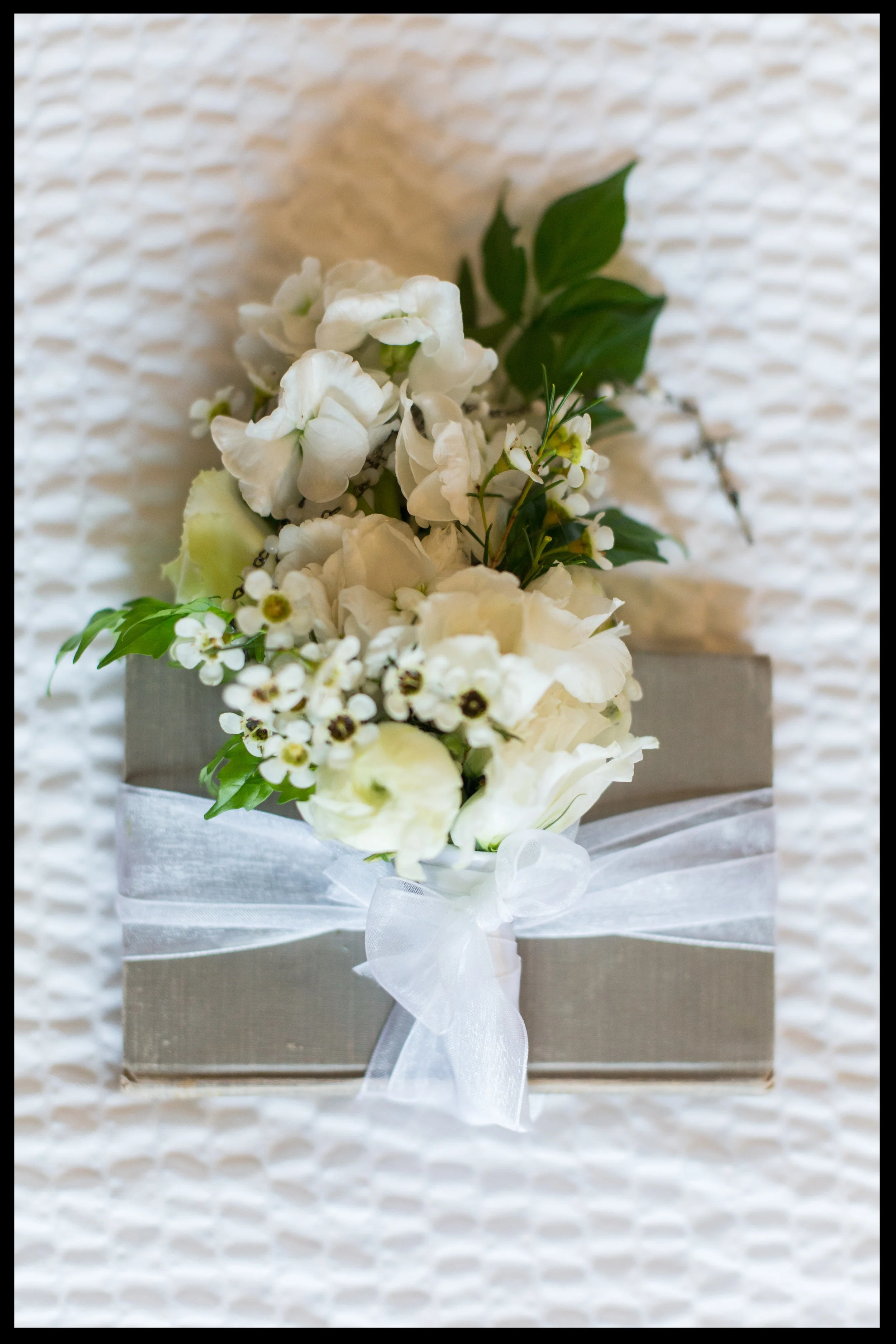 Kathy Sanner Favorites-0001.jpg