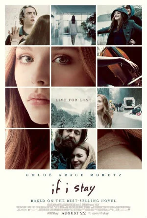 2014.20.ifistay.jpg