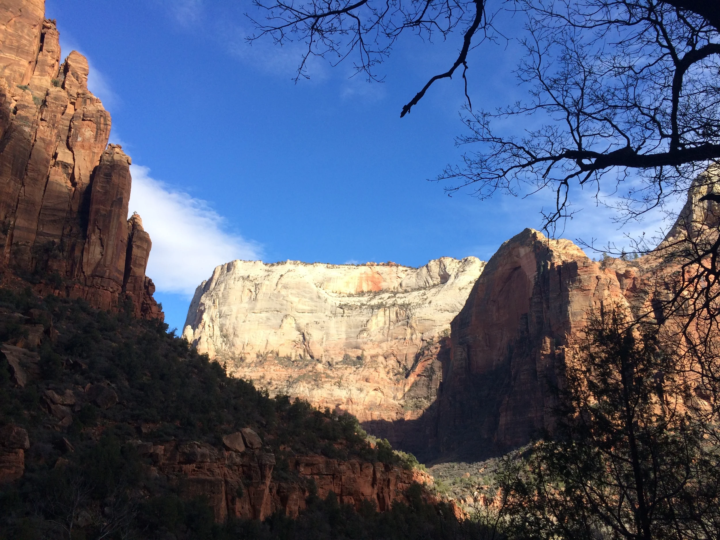 Mount Zion National Park - 01.31.15